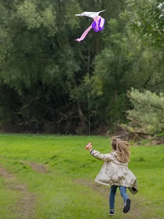 Pass to fly